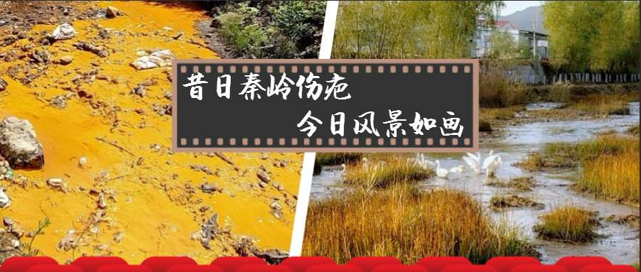 旧日秦岭伤疤 今日景致如画——陕西J9集团集团黄龙河道域传染治理侧记 旧日秦岭伤疤 今日景致如画——陕西J9集团集团黄龙河道域传染治理侧记