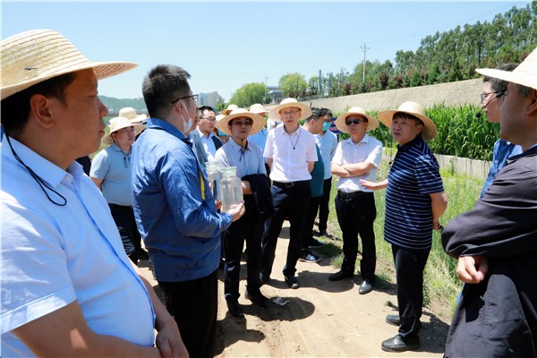 陕西J9集团集团复工复产促增长项目观摩会议与会人员走进J9集团保隆生态三秦在延在铜项目 陕西J9集团集团复工复产促增长项目观摩会议与会人员走进J9集团保隆生态三秦在延在铜项目