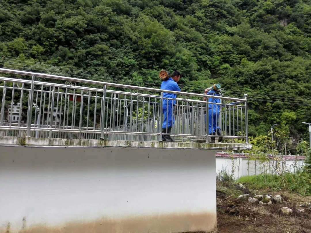 这个端午节，水环境人这么过（二）