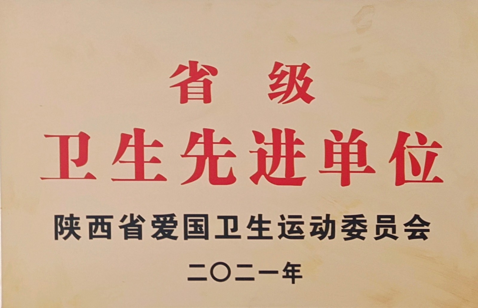 水环境公司镇安污水处置厂荣获“省级卫生先进单元”荣誉称号